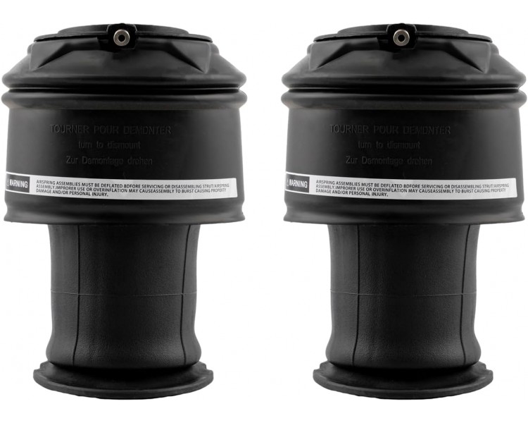 LOT 2 AMORTISSEUR SUSPENSION PNEUMATIQUE ARRIERE