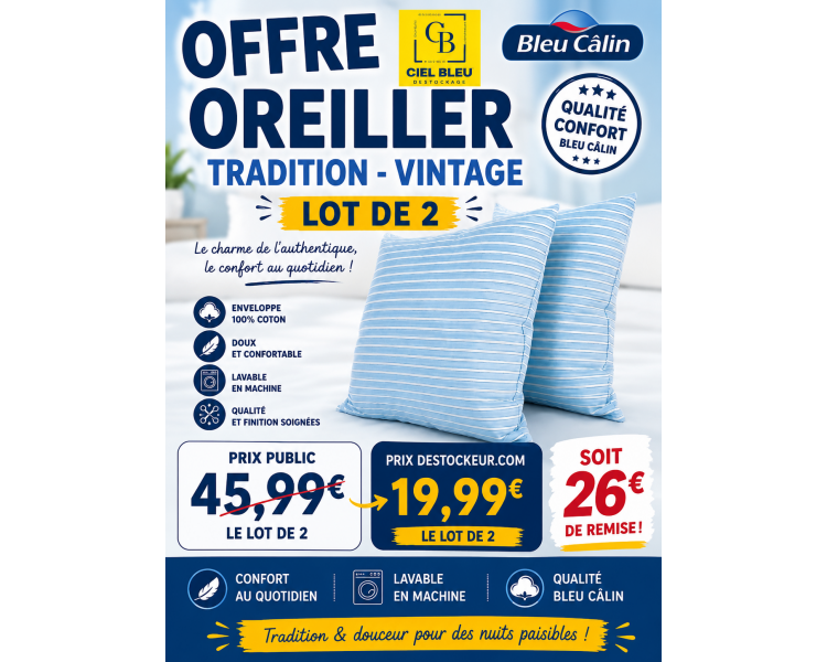 Lot de 2 oreillers vintage traditionnel