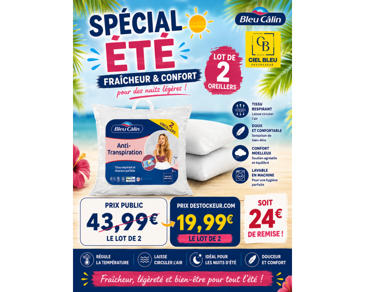 Lot de 2 oreillers anti-transpiration