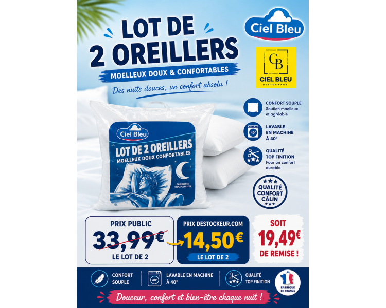 Lot de 2 oreillers
